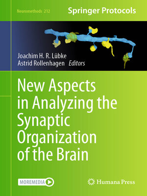 cover image of New Aspects in Analyzing the Synaptic Organization of the Brain